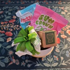 Miniverse Make It Mini Lifestyle Home Series 1 Fern Plant